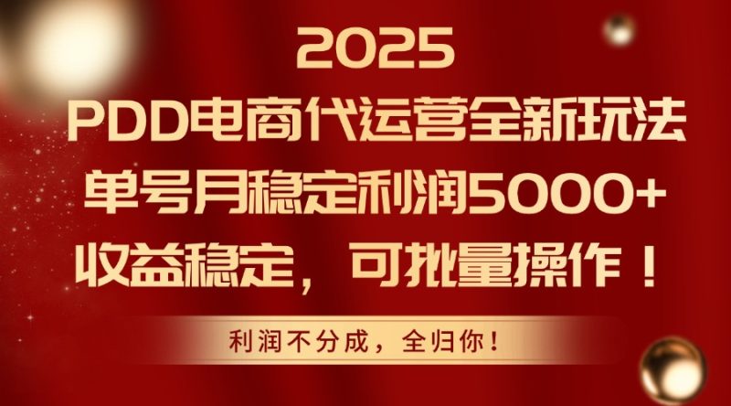 2025PDD电商代运营全新玩法,单号月稳定利润5000+,收益稳定,可批量操作-一个公司创业项目 - 淘金吧