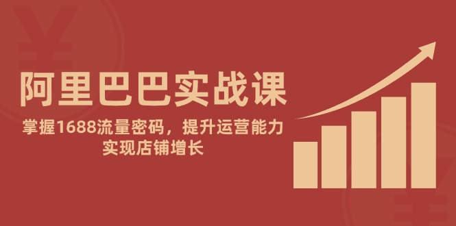 阿里巴巴实战课:掌握1688流量密码,提升运营能力,实现店铺增长-一个公司创业项目 - 淘金吧