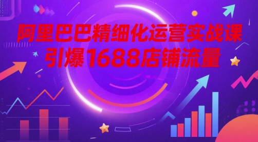 阿里巴巴精细化运营实战课,引爆1688店铺流量-一个公司创业项目 - 淘金吧