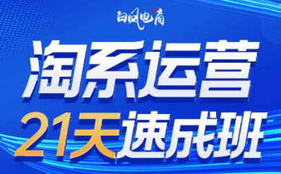 白凤电商·淘系运营21天速成班(更新5月)-一个公司创业项目 - 淘金吧