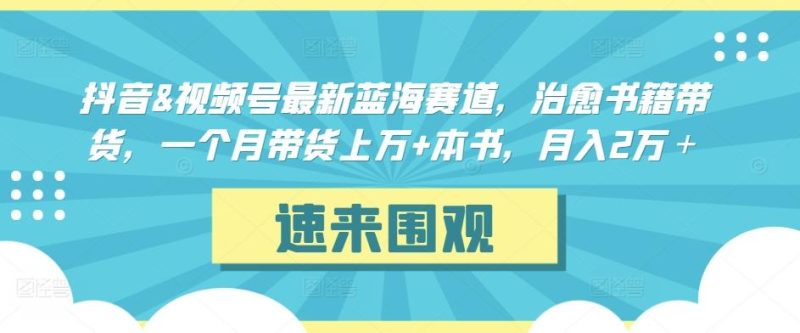 抖音&视频号最新蓝海赛道,治愈书籍带货,一个月带货上万+本书,月入2万+【揭秘】-一个公司创业项目 - 淘金吧