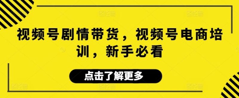 视频号剧情带货，视频号电商培训，新手必看-一个公司创业项目 - 淘金吧