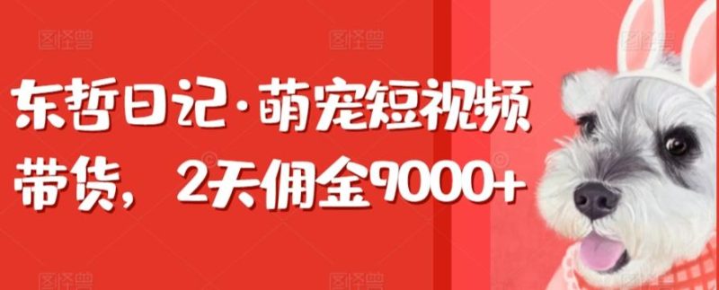 东哲日记·萌宠短视频带货，2天佣金9000+-一个公司创业项目 - 淘金吧