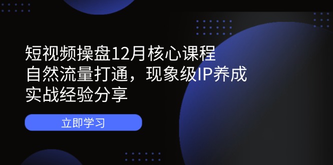 短视频操盘12月核心课程:自然流量打通,现象级IP养成,实战经验分享-一个公司创业项目 - 淘金吧