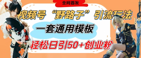 视频号“野路子”玩法,评论区疯狂截流,一套模板单日单号引流50+创业粉-一人公司创业项目 - 淘金吧