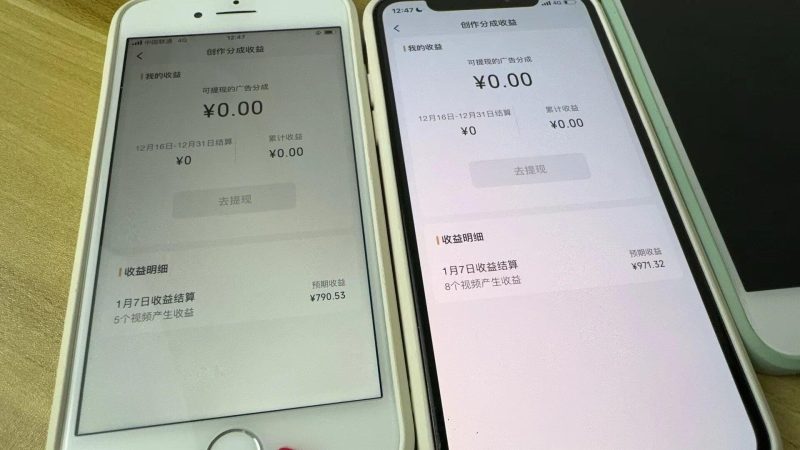 (8549期)全网独家首发，视频号BUG，超短期项目，单号每日净收益300-5000！-一个公司创业项目 - 淘金吧