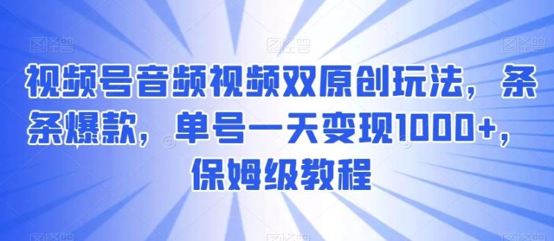 视频号音频视频双原创玩法,条条爆款,单号一天变现1000+,保姆级教程【揭秘】-一个公司创业项目 - 淘金吧