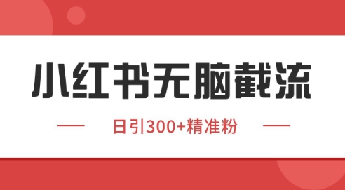 小红书截流同行客源,独家野路子获客玩法 日引200+暴力获客【揭秘】-一人公司创业项目 - 淘金吧