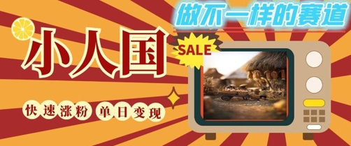 DeepSeek+绘图+视频制作小人国微观视频,小白轻轻松松上手,条条爆款,条条变现,单日就能收益-一人公司创业项目 - 淘金吧