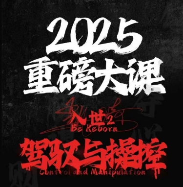 2025重磅大课,入世2,驾驭与控制-一个公司创业项目 - 淘金吧