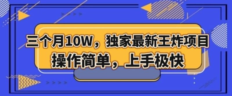三个月10W,独家最新王炸项目!操作简单,上手极快【揭秘】-一人公司创业项目 - 淘金吧