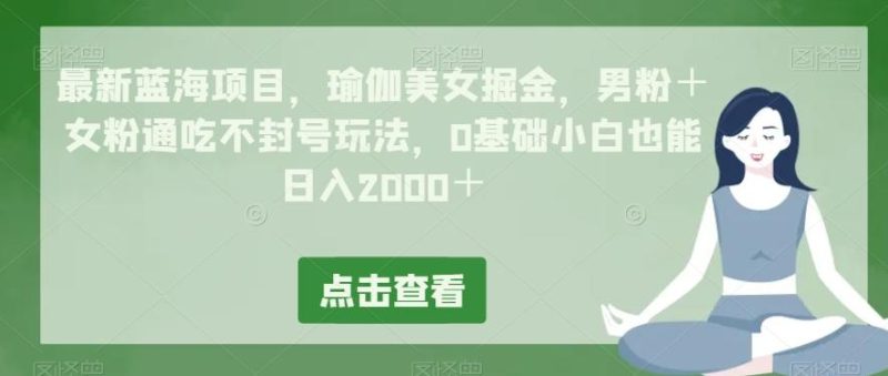 最新蓝海项目,瑜伽美女掘金,男粉+女粉通吃不封号玩法,0基础小白也能日入2000+-一个公司创业项目 - 淘金吧
