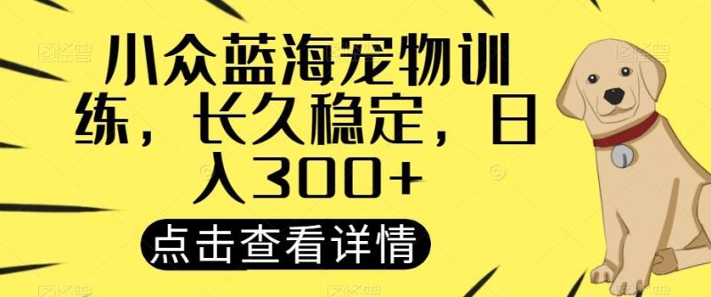 小众蓝海宠物训练，长久稳定，日入300+-一个公司创业项目 - 淘金吧