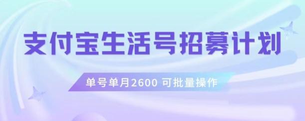 支付宝生活号作者招募计划，单号单月2600，可批量去做，工作室一人一个月轻松1w+【揭秘】-一个公司创业项目 - 淘金吧