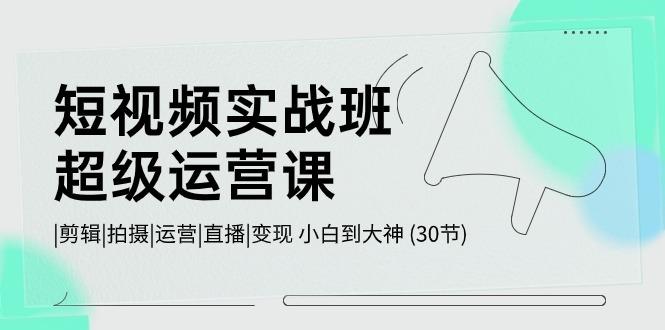 短视频实战班超级运营课 |剪辑|拍摄|运营|直播|变现 小白到大神 (30节)-一个公司创业项目 - 淘金吧