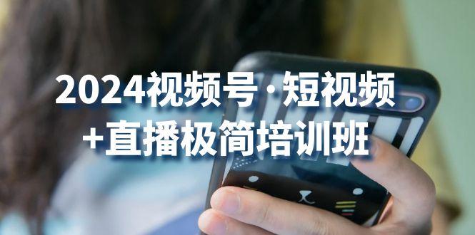 2024视频号·短视频+直播极简培训班：抓住视频号风口，流量红利-一个公司创业项目 - 淘金吧