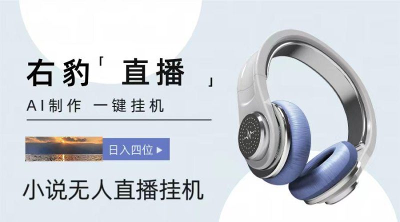 右豹小说无人直播挂机吸金项目,简单易行收益稳定, 月入1000+-一人公司创业项目 - 淘金吧
