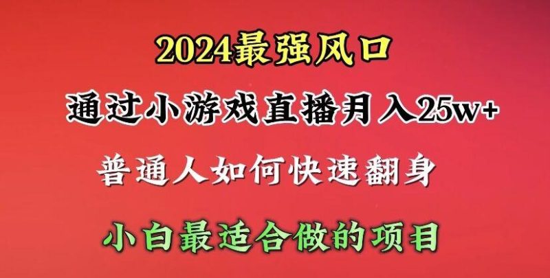 (10020期)2024年最强风口，通过小游戏直播月入25w+单日收益5000+小白最适合做的项目-一个公司创业项目 - 淘金吧