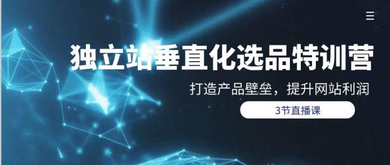 (9925期)独立站-垂直化选品训练营，打造产品壁垒，提升网站利润(3节直播课)-一个公司创业项目 - 淘金吧