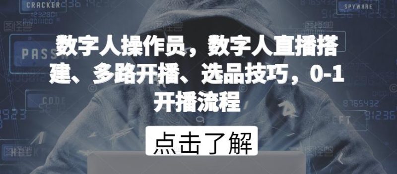 数字人操作员，数字人直播搭建、多路开播、选品技巧，0-1开播流程-一个公司创业项目 - 淘金吧
