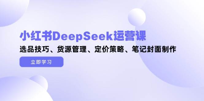 小红书DeepSeek运营课,选品技巧、货源管理、定价策略、笔记封面制作-一个公司创业项目 - 淘金吧