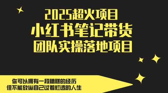2025超火项目,副业最佳选择,小红书笔记带货团队实操落地项目,,轻松日入5张-一个公司创业项目 - 淘金吧