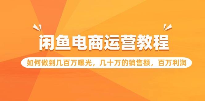 (9560期)闲鱼电商运营教程：如何做到几百万曝光，几十万的销售额，百万利润-一个公司创业项目 - 淘金吧