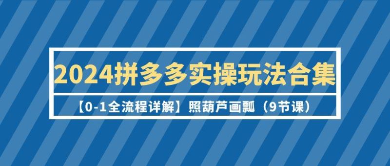 (9559期)2024拼多多实操玩法合集【0-1全流程详解】照葫芦画瓢(9节课)-一个公司创业项目 - 淘金吧