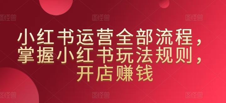小红书运营全部流程,掌握小红书玩法规则,开店赚钱-一个公司创业项目 - 淘金吧