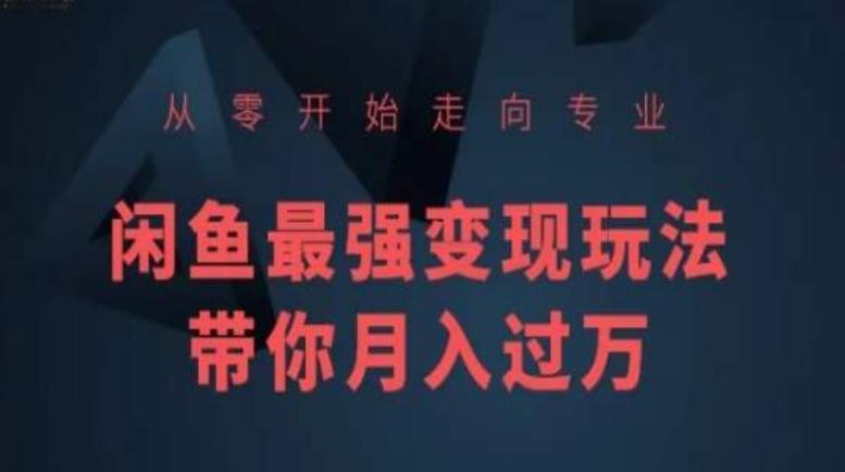 从零开始走向专业,闲鱼最强变现玩法带你月入过万-一个公司创业项目 - 淘金吧