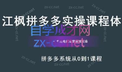 江枫老师·拼多多实操课程-一个公司创业项目 - 淘金吧
