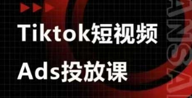 Ads视频投放课,tiktok短视频广告投放课-一个公司创业项目 - 淘金吧