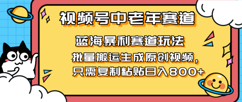 2025视频号中老年短视频蓝海暴利风口!复制粘贴搬运视频单日赚800+,无…-一个公司创业项目 - 淘金吧
