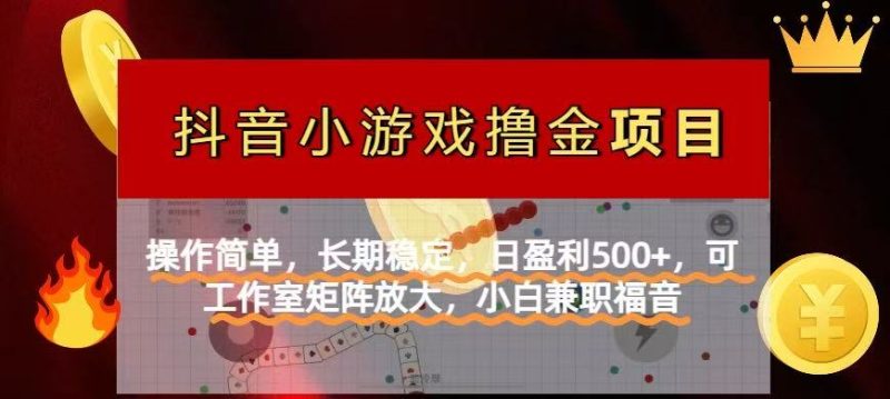 【抖音小游戏发行人计划项目】操作简单,长期稳定,日盈利500+,可工作…-一个公司创业项目 - 淘金吧