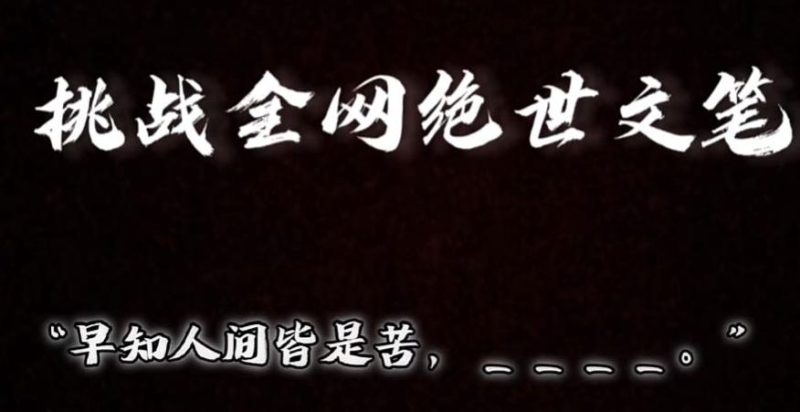 视频号小众玩法,文笔挑战,互动拉满,轻松赚取分成收益!小白也可当天上手-一人公司创业项目 - 淘金吧