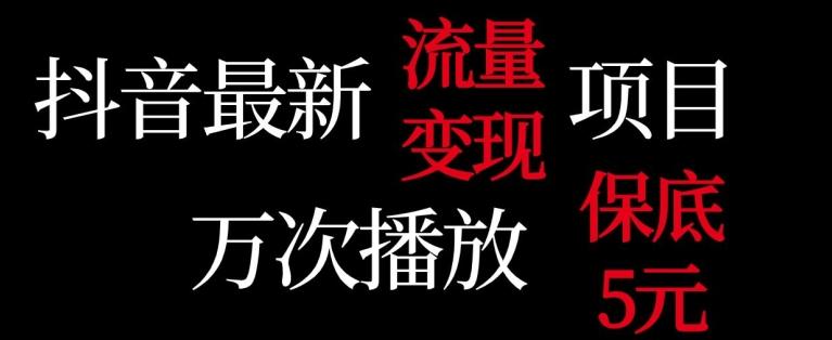 抖音流量变现，万次播放保底5元，额外收入-一个公司创业项目 - 淘金吧