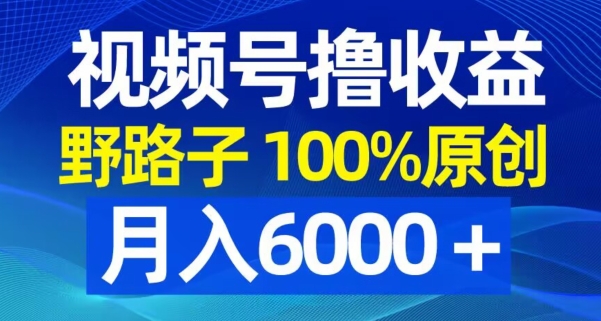 视频号野路子撸收益,100%原创,条条爆款,月入6000+【揭秘】-一人公司创业项目 - 淘金吧