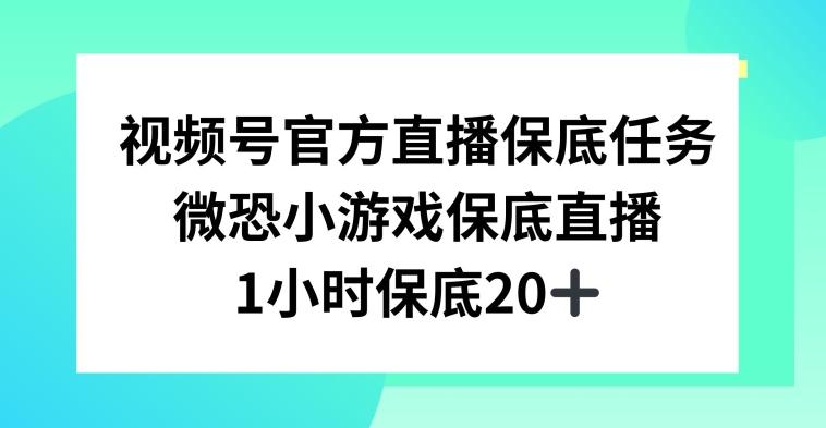 视频号直播任务，微恐小游戏，1小时20+【揭秘】-一人公司创业项目 - 淘金吧