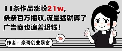 11条作品涨粉21W，条条百W播放，流量猛就算了，广告商也追着给钱-一个公司创业项目 - 淘金吧
