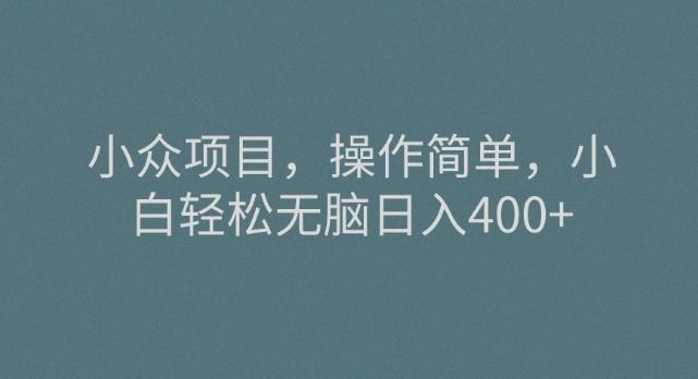 小众项目，操作简单，小白轻松无脑日入400+-一个公司创业项目 - 淘金吧
