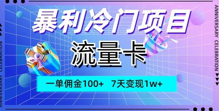 暴利冷门项目，流量卡，一单佣金100+，7天变现1w+-一人公司创业项目 - 淘金吧
