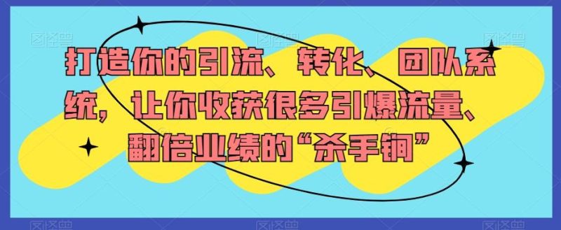 打造你的引流、转化、团队系统,让你收获很多引爆流量、翻倍业绩的“杀手锏”-一个公司创业项目 - 淘金吧