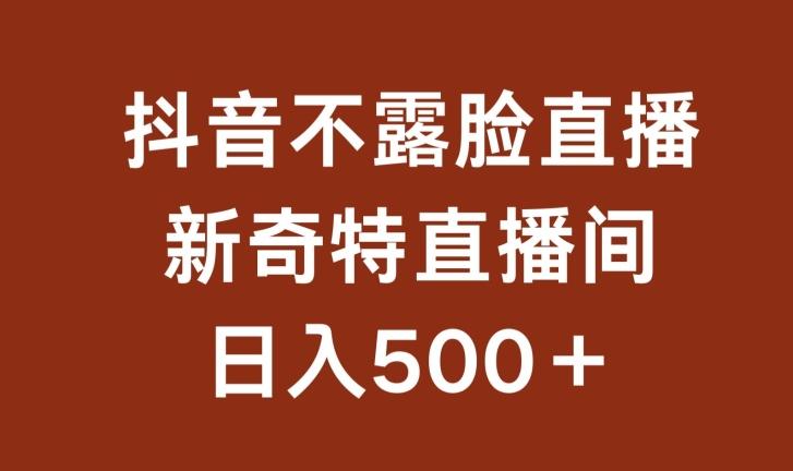 不露脸挂机直播,新奇特直播间,日入500+【揭秘】-一个公司创业项目 - 淘金吧