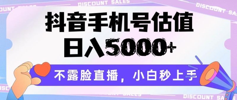 抖音手机号估值,日入5000+,不露脸直播,小白秒上手-一个公司创业项目 - 淘金吧