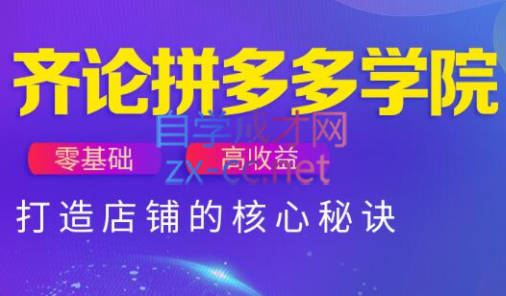 齐论拼多多vip课程-一个公司创业项目 - 淘金吧