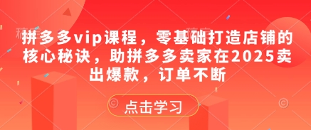 拼多多vip课程，零基础打造店铺的核心秘诀，助拼多多卖家在2025卖出爆款，订单不断-一人公司创业项目 - 淘金吧