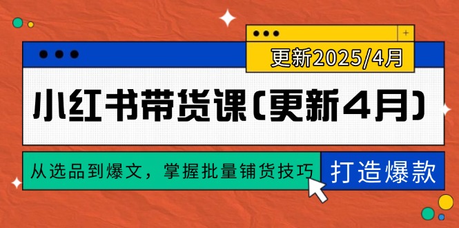 小红书带货课(更新4月-一个公司创业项目 - 淘金吧