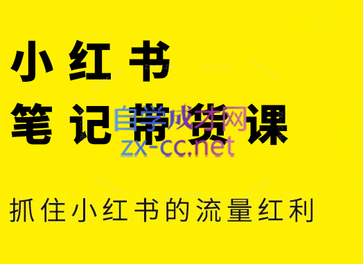 张宾·小红书笔记带货课(更新4月)-一个公司创业项目 - 淘金吧