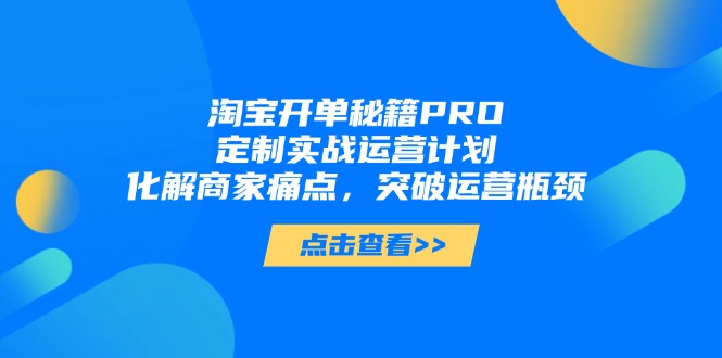 淘宝开单秘籍PRO,定制实战运营计划,化解商家痛点,突破运营瓶颈-一个公司创业项目 - 淘金吧