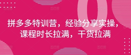 拼多多特训营,经验分享实操,课程时长拉满,干货拉满(更新25年4月)-一个公司创业项目 - 淘金吧